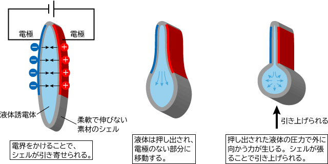 人工筋肉のしくみ