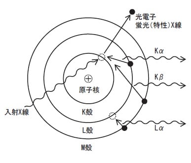 蛍光X線イメージ