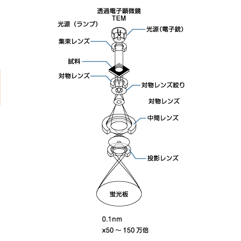 透過型電子顕微鏡（TEM）