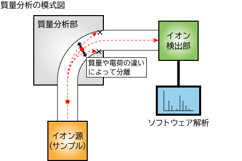 質量分析の模式図