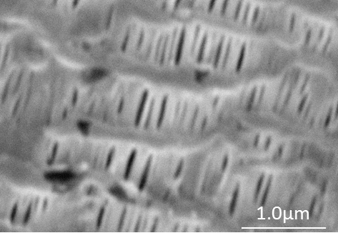 マイクロポーラスフィルム