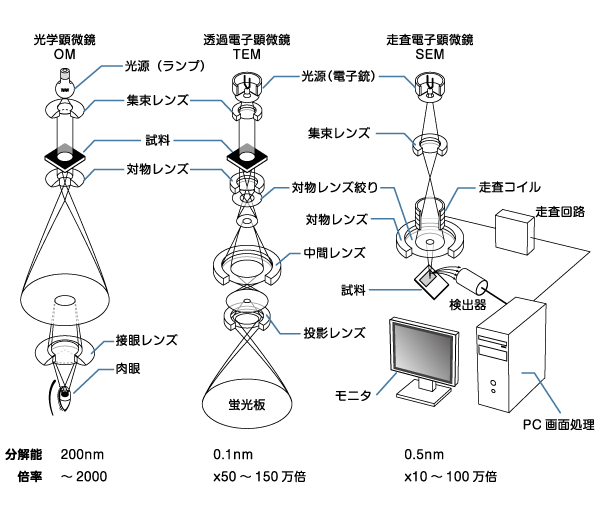 電子顕微鏡の構造