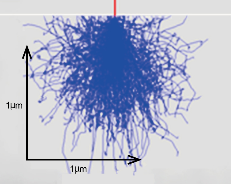 図.モンテカルロシミュレーションで計算された照射電圧1kV、5kV及び10kVの一次電子侵入深さ(試料Si)